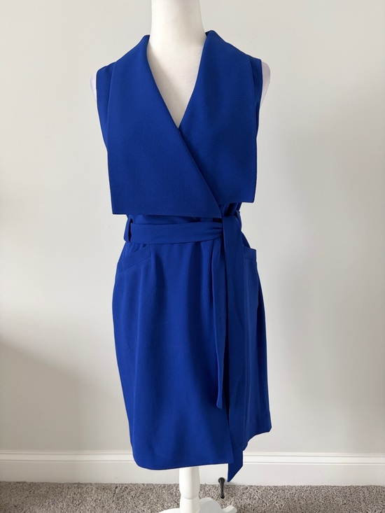 The Limited Dresses & Skirts - The Limited Cobalt Blue Sleeveless Dress